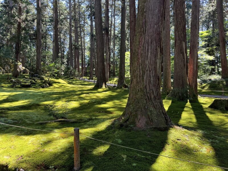 白山平泉寺の苔　keiryusai.net