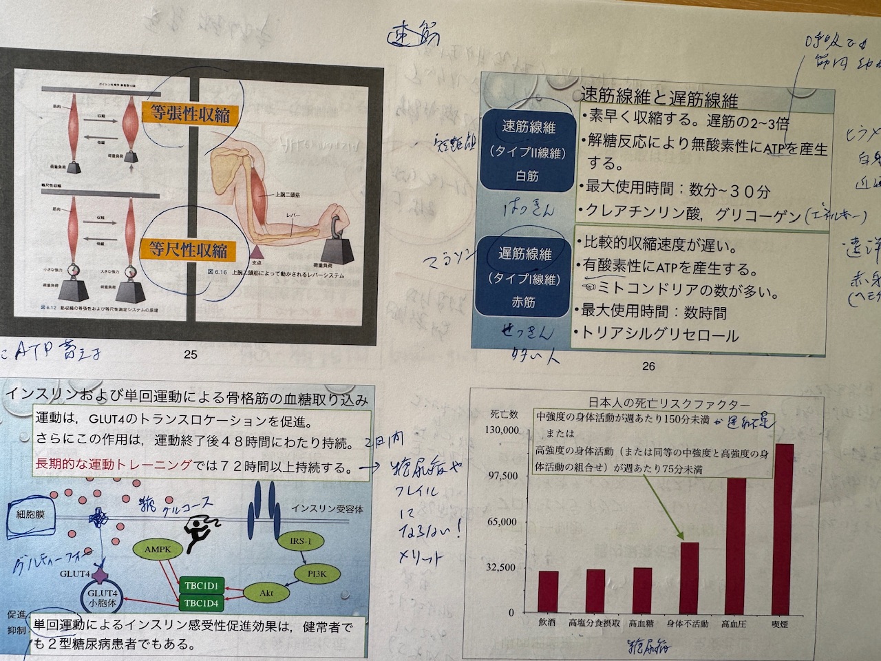 「人生100年時代のための脳科学」第3回「運動と健康」