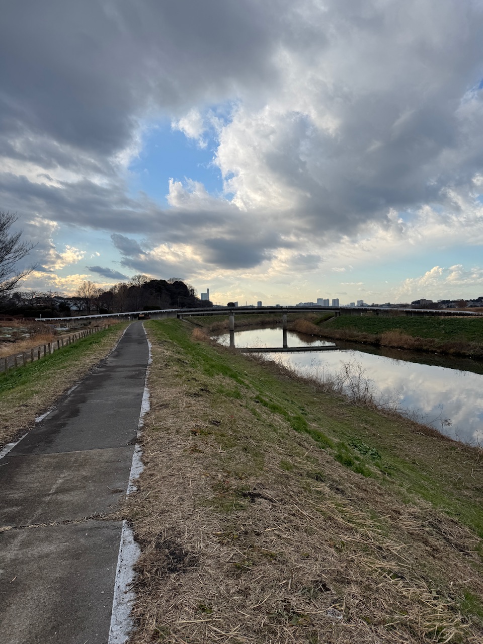 芝川と遊歩道