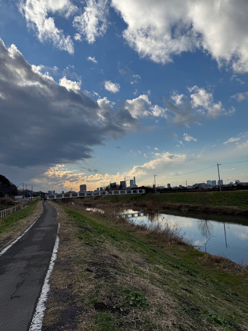 芝川と遊歩道と橋と