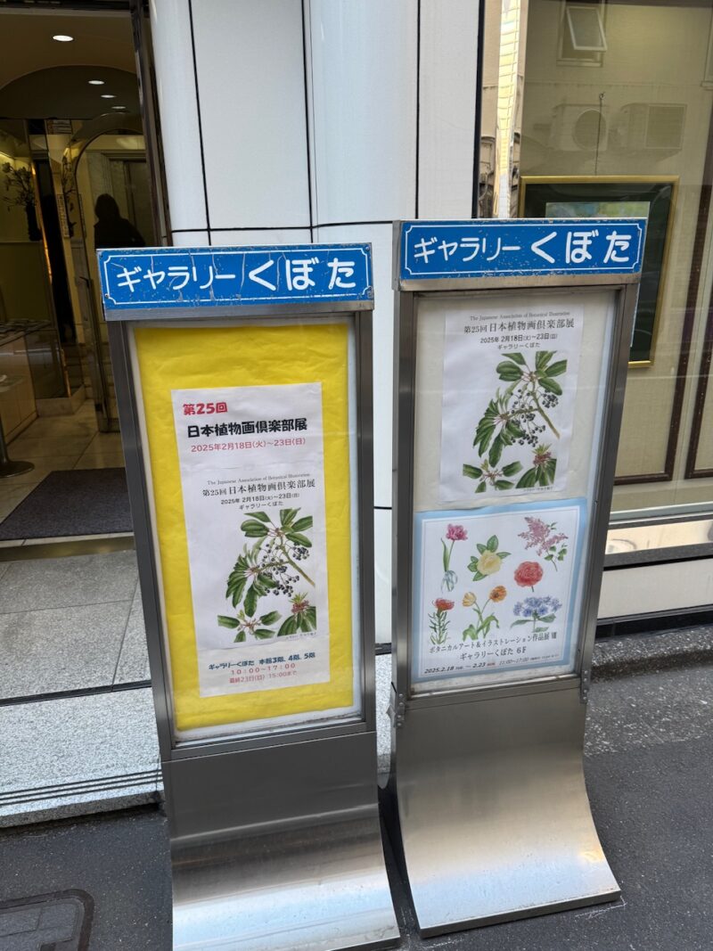 ｢日本植物画倶楽部展」（京橋・ギャラリーくぼた）