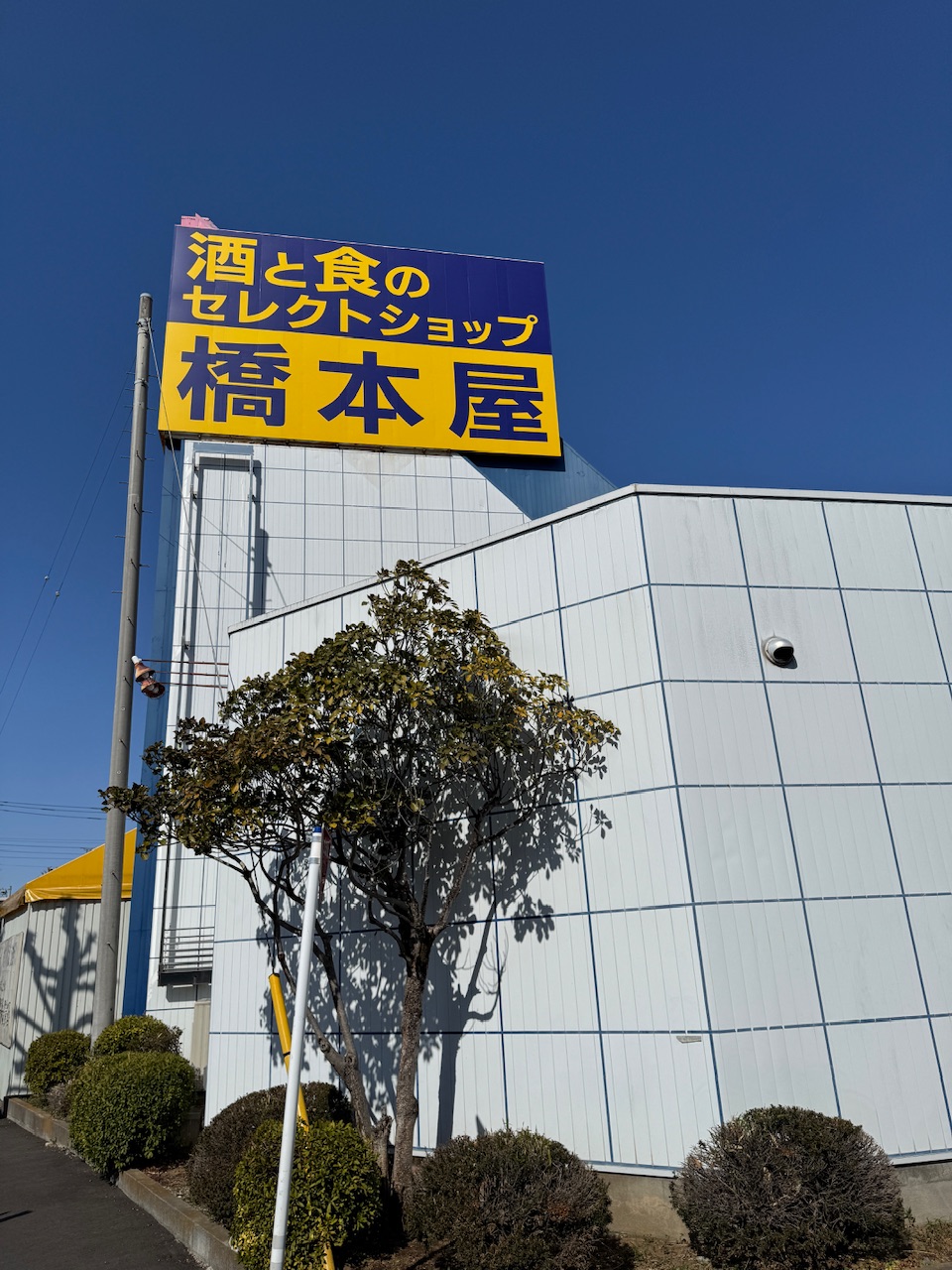 「橋本屋」