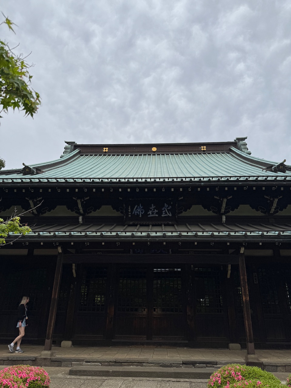 豪徳寺本堂 keiryusai.net