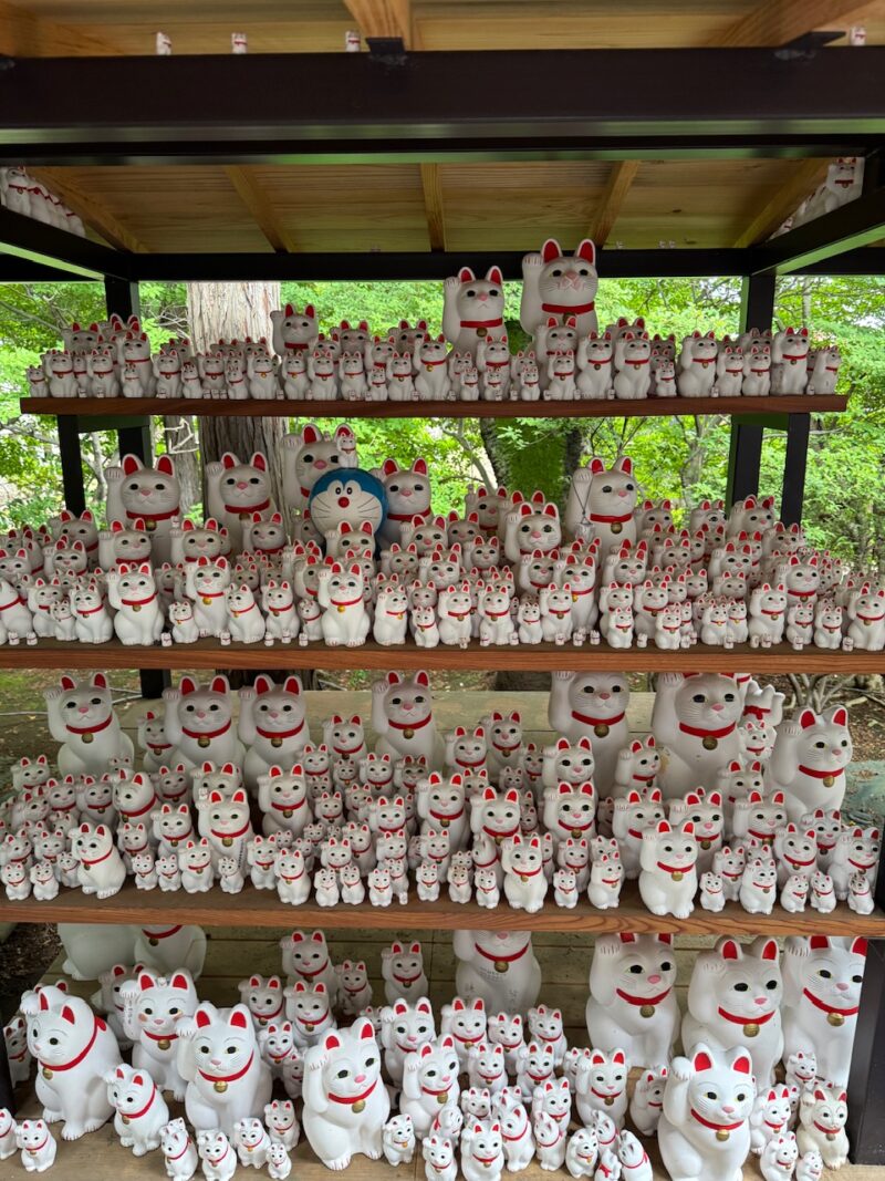 豪徳寺の招き猫 keiryusai.net
