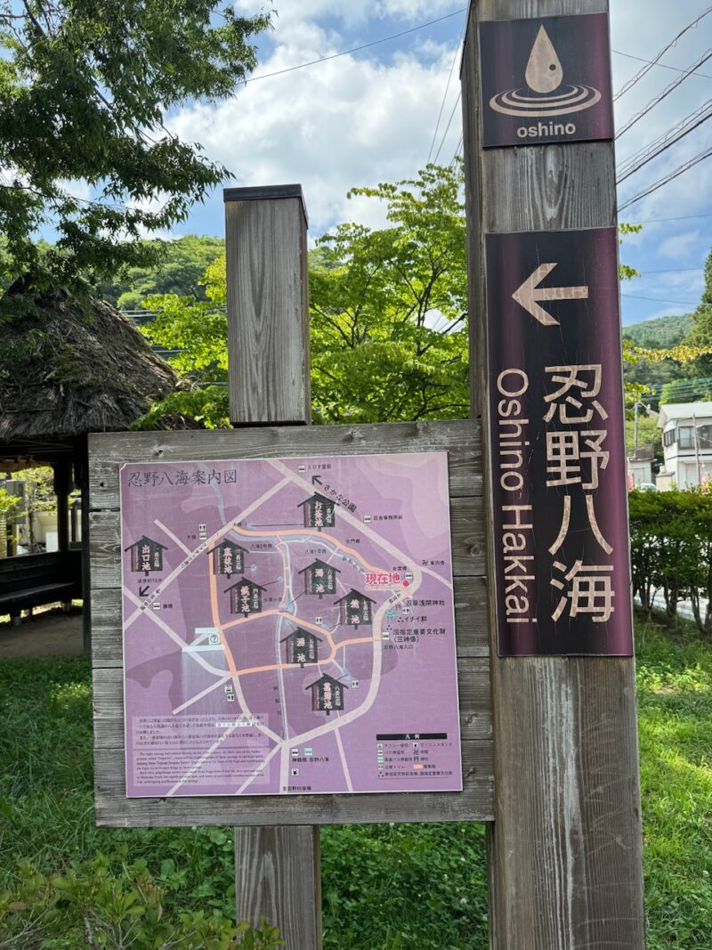 世界遺産の湧水池「忍野八海」keiryusai.net