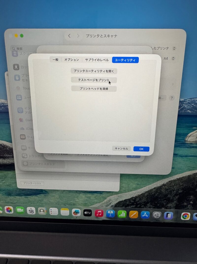 MacBookとEPSONプリンター接続に四苦八苦 指示通りテストページをプリントしたら止まらなくなりました