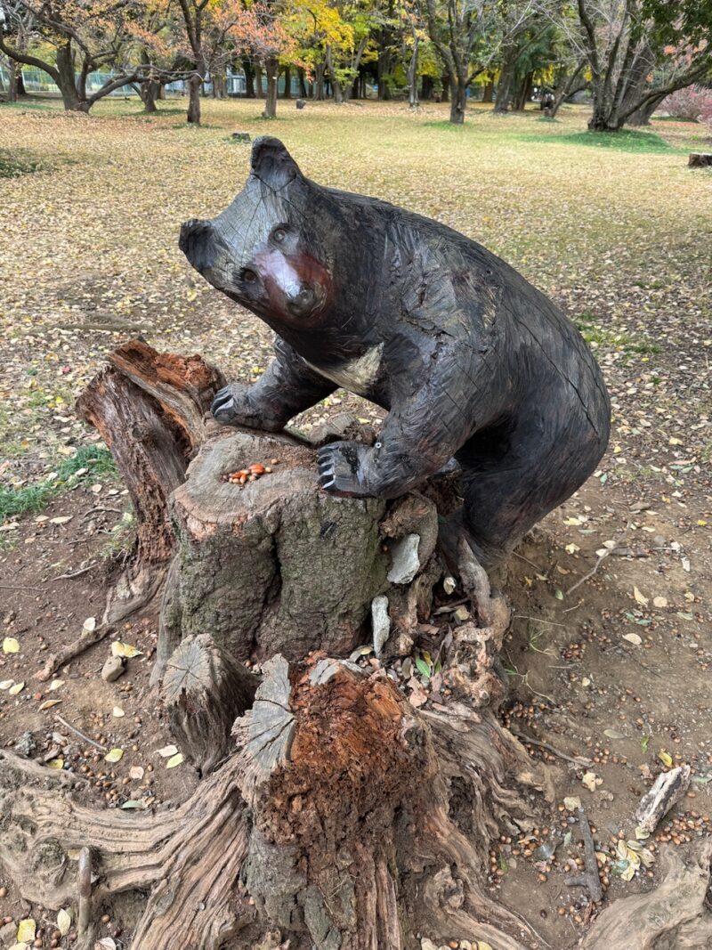 所沢航空記念公園　keiryusai.net