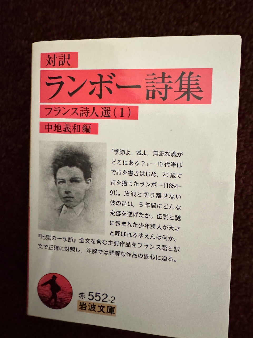 中地義和編「対訳　ランボー詩集」（岩波文庫）