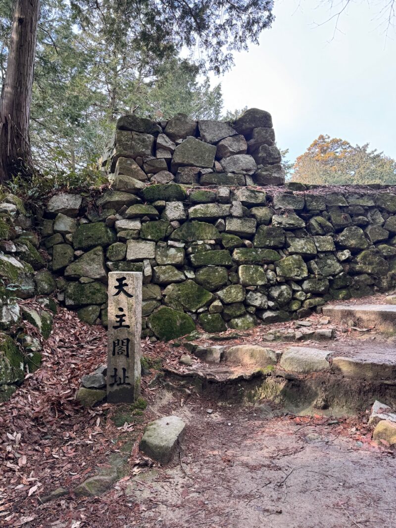 天主閣跡 keiryusai.net