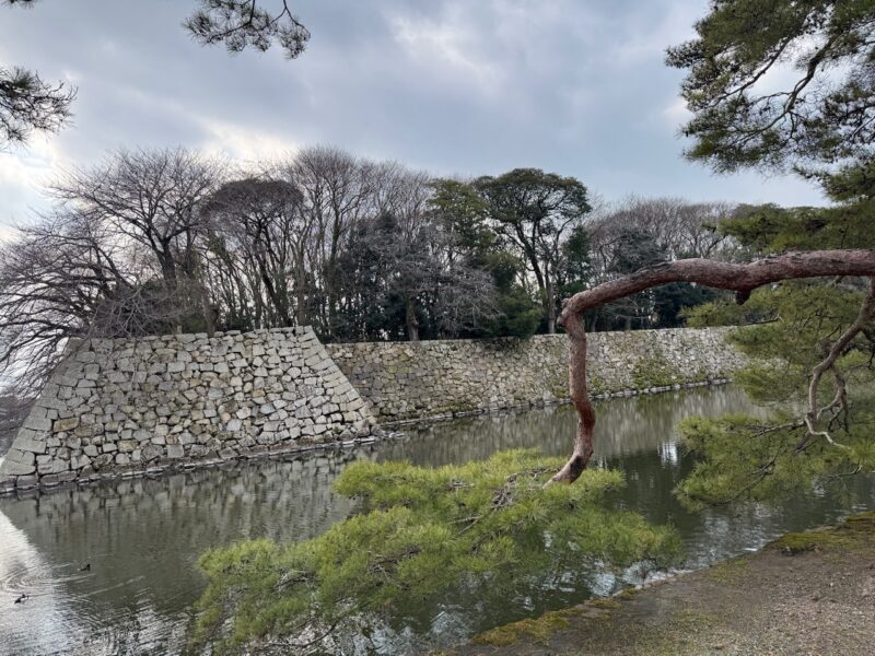 彦根城 keiryusai.net