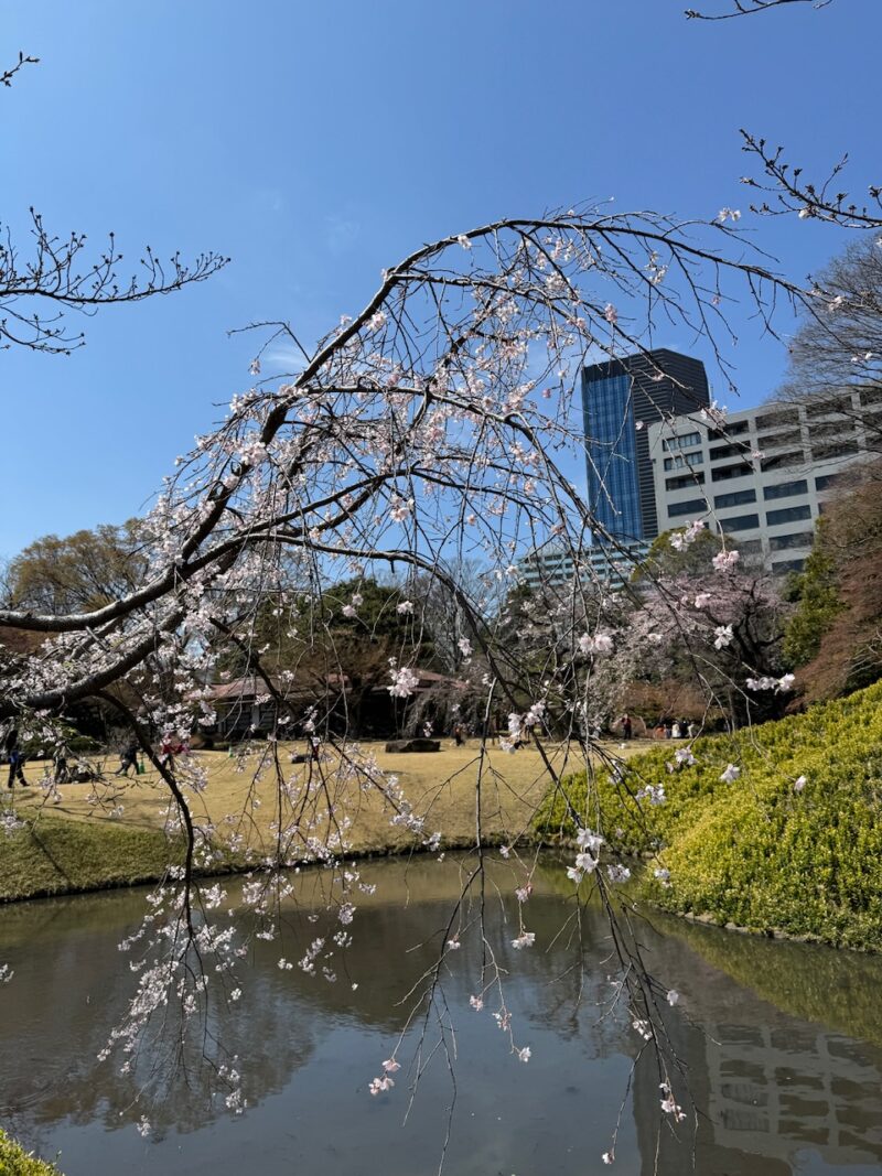 小石川後楽園 keiryusai.net