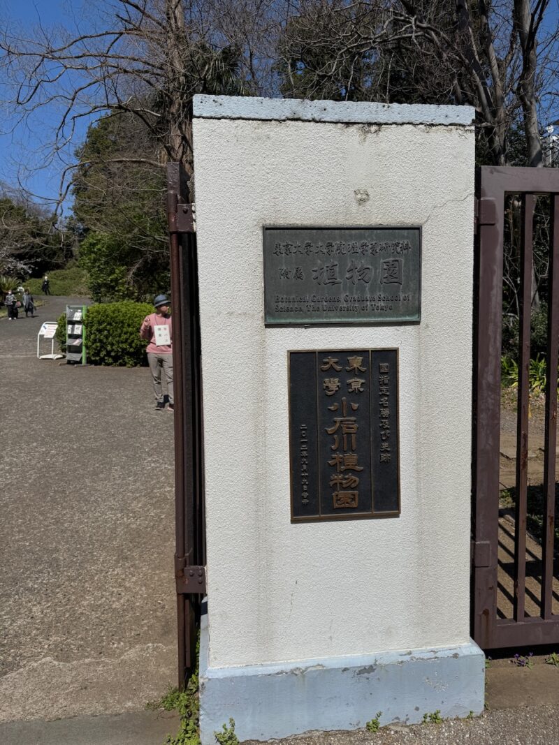 小石川植物園 keiryusai.net