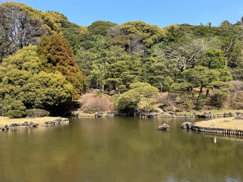 小石川植物園 keiryusai.net