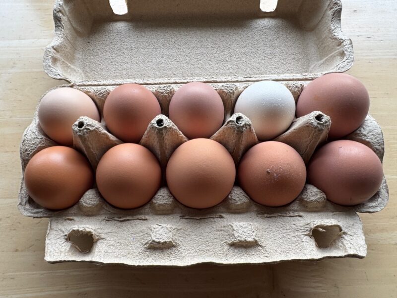 一個50円の新鮮卵 keiryusai.net