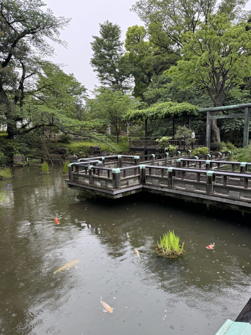 東郷神社 （旧鳥取藩主池田侯爵家の下屋敷の日本庭園）keiryusai.net