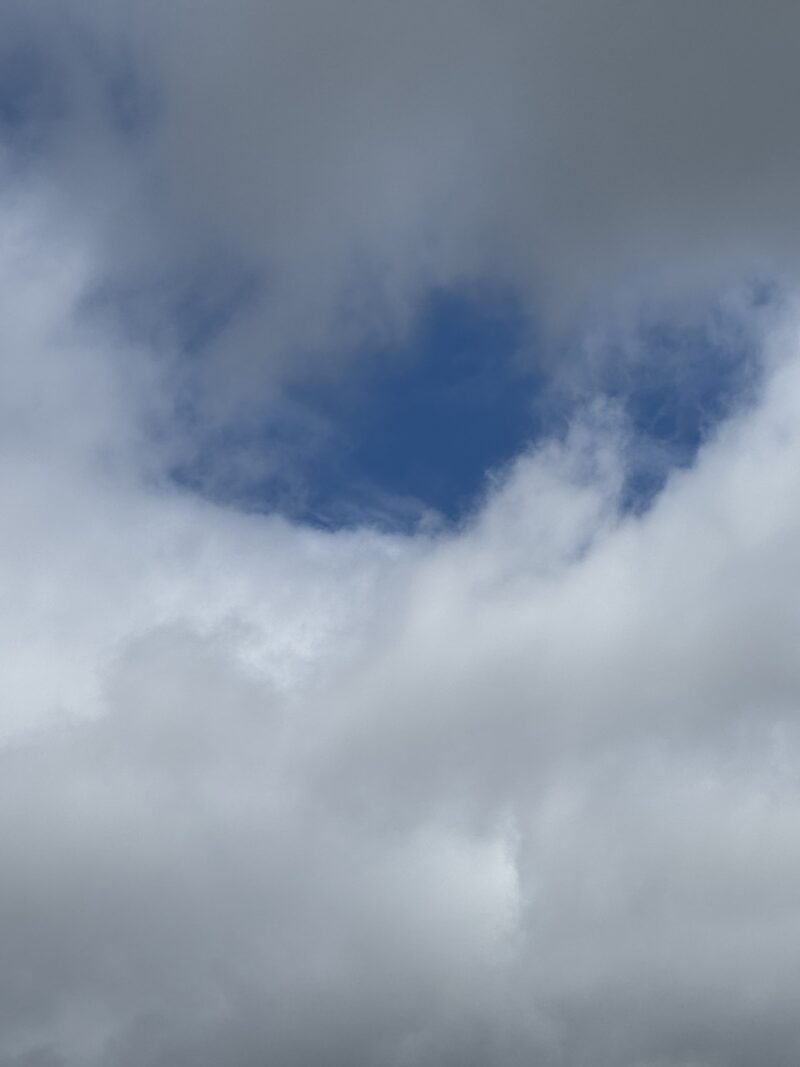 親友が姿を現した？keiryusai.net