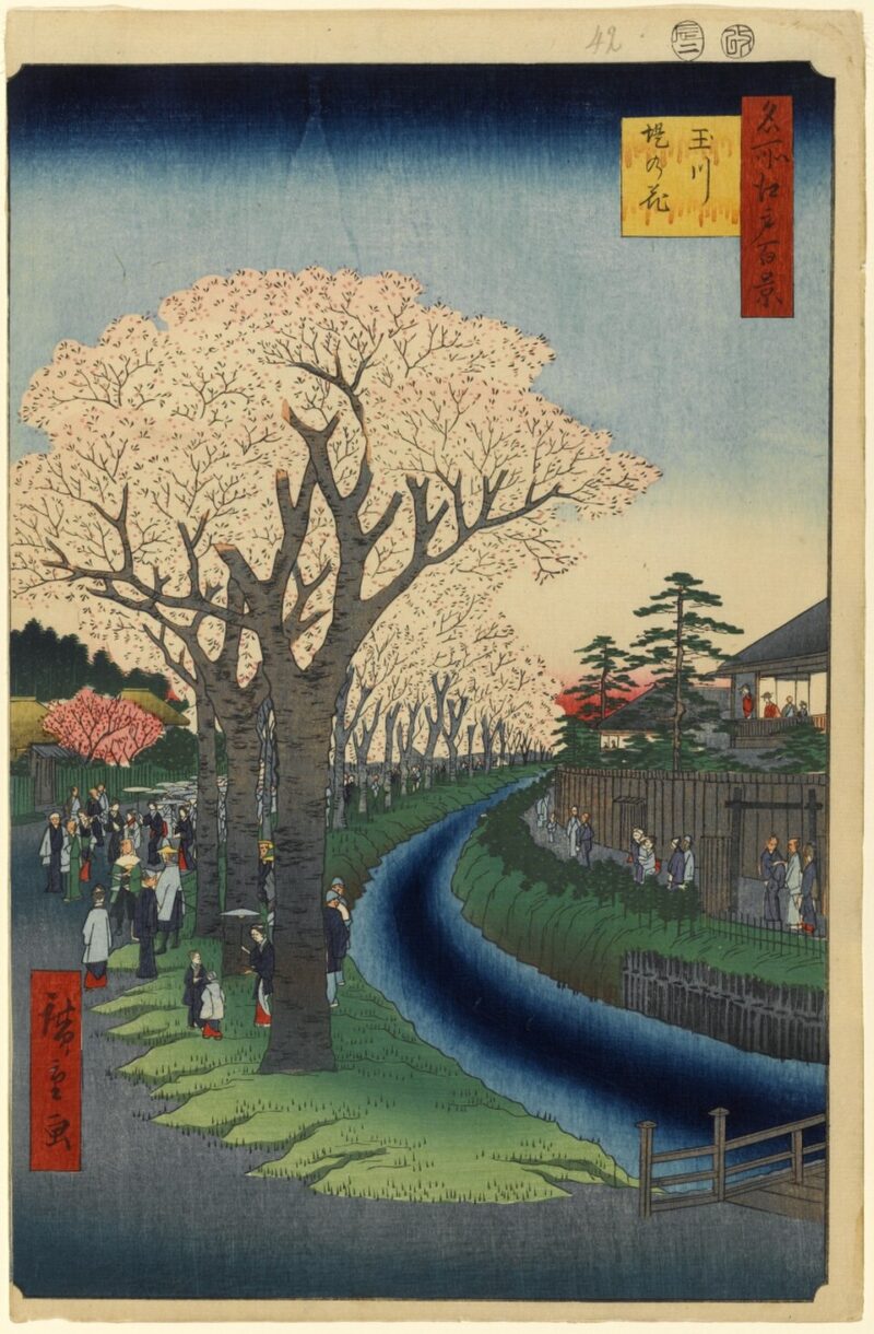 歌川広重「玉川堤の花」（出典 Wikimedia commons）