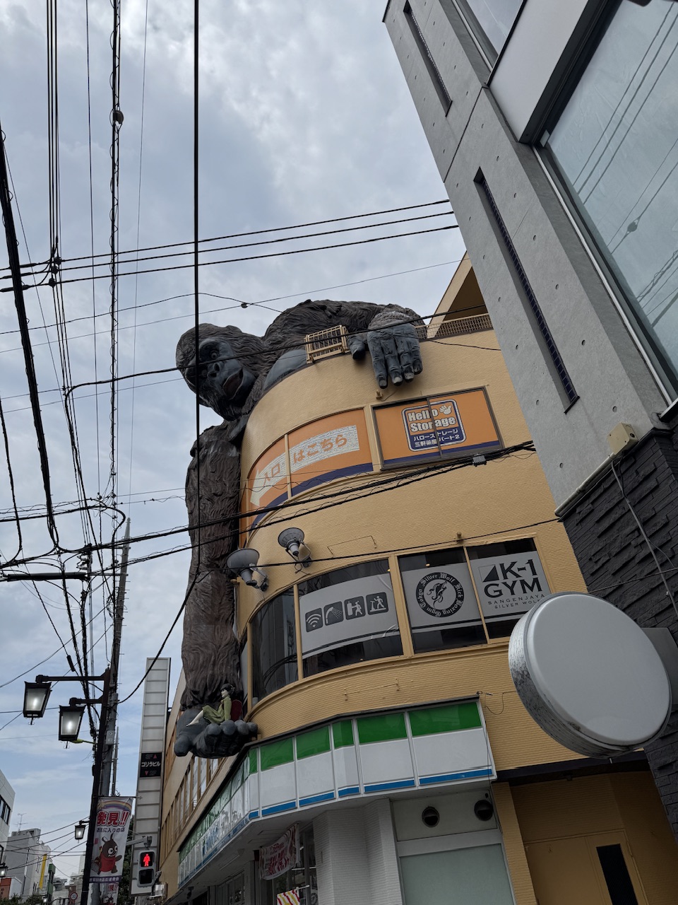 三軒茶屋ゴリラビル keiryusai.net