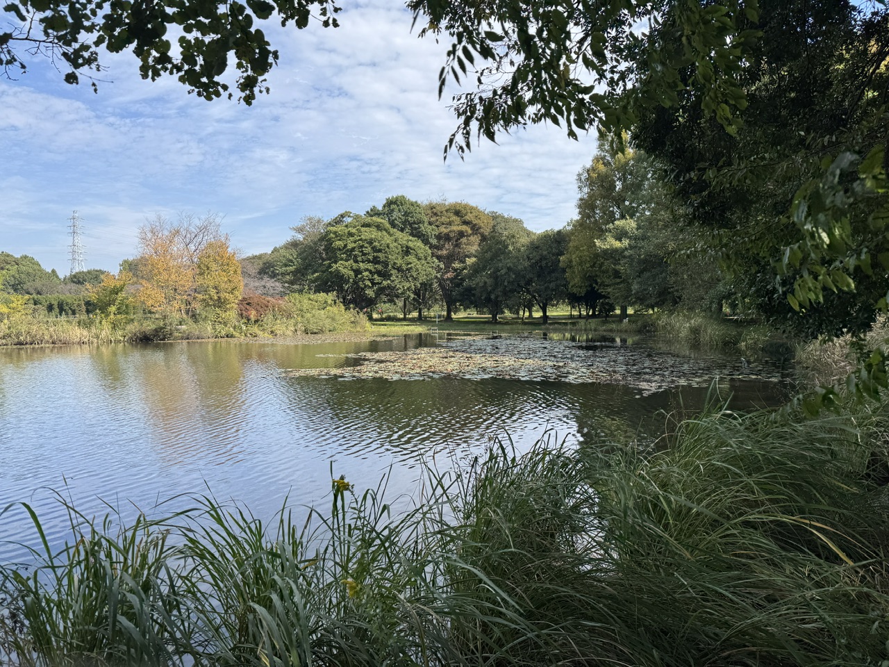 自然公園 keiryusai.net